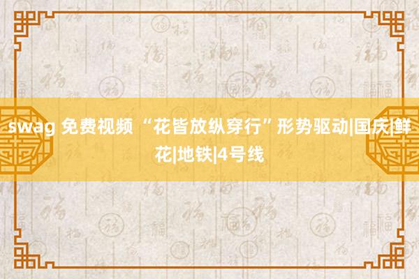 swag 免费视频 “花皆放纵穿行”形势驱动|国庆|鲜花|地铁|4号线