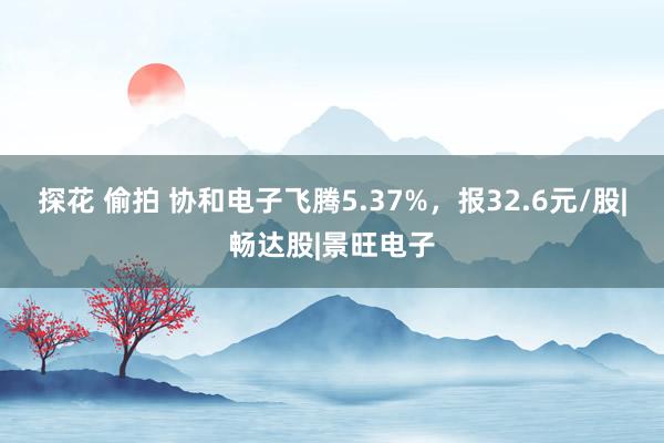探花 偷拍 协和电子飞腾5.37%，报32.6元/股|畅达股|景旺电子